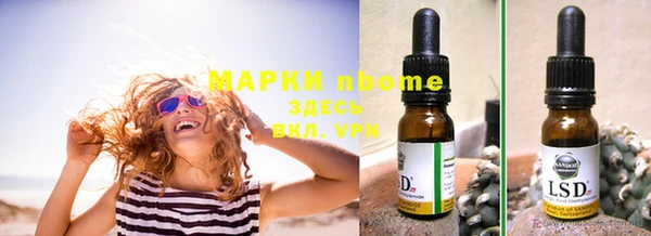 прущие грибы Белоозёрский