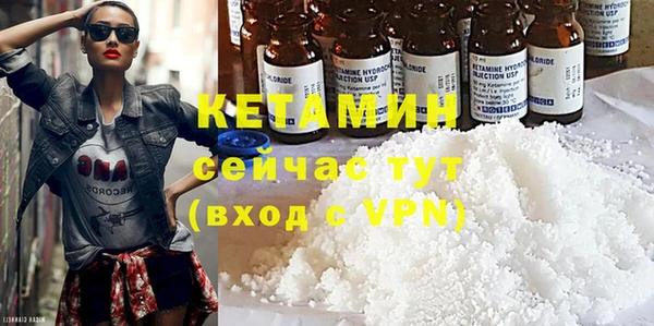 индика Богданович