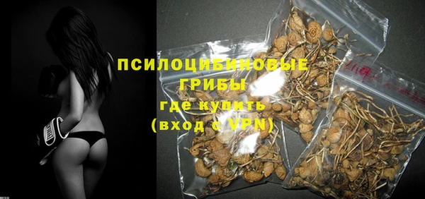 кокаин Белокуриха