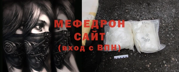 индика Пестово