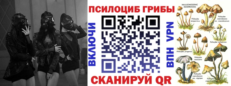 Псилоцибиновые грибы Psilocybine cubensis  Сегежа 