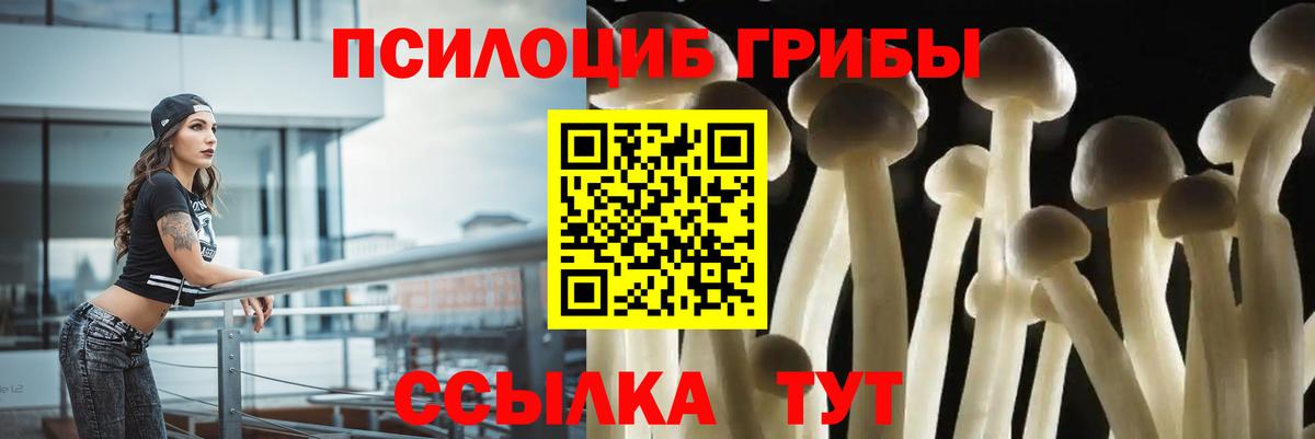 Псилоцибиновые грибы Psilocybine cubensis Сегежа